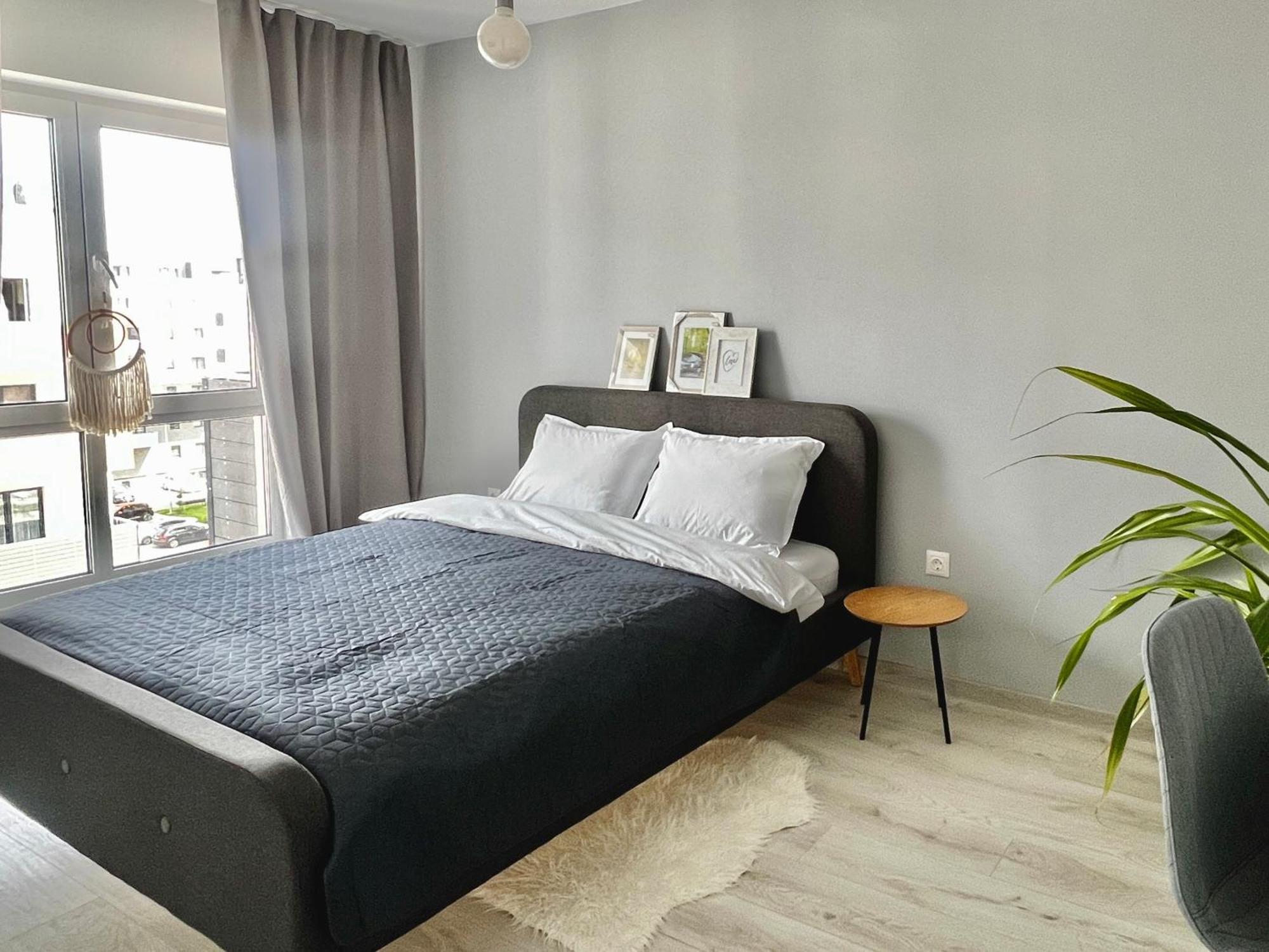 Blue Boho And Apartment *